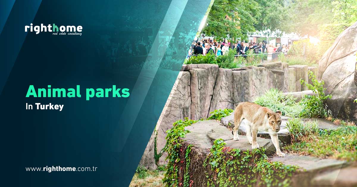 Zoos in Turkey